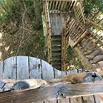 Hébergement de vacances ô Bois Dormant