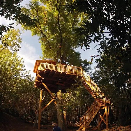 Nyaraló O Bois Dormant